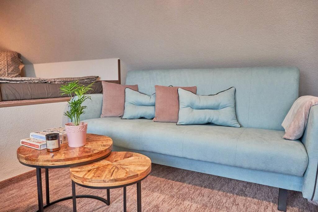 "Na Skale " Apartment In Center, Free Parking 波切尼斯 外观 照片